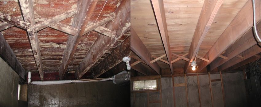 Mold and Fire Damage Removal using Soda Blasting